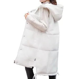 Winter/Spring Coat Autumn Winter Spring Vest Women Waistcoat 2019 Female Sleeveless Jacket