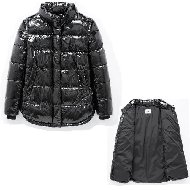 Winter/Spring Coat  women casual jacket New autumn spring winter classic madam